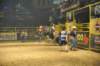 d2010_100916k_0629_small.jpg