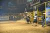 d2010_100916k_0633_small.jpg