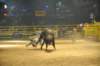 d2010_100916k_0642_small.jpg