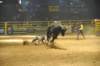 d2010_100916k_0643_small.jpg