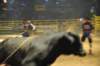 d2010_100916k_0646_small.jpg