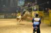 d2010_100916k_0657_small.jpg