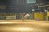 d2010_100916k_0699_small.jpg