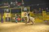 d2010_100916k_0723_small.jpg