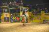 d2010_100916k_0726_small.jpg