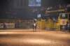 d2010_100916k_0764_small.jpg