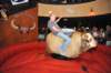 d2010_100916k_0974_small.jpg