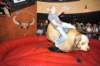 d2010_100916k_0976_small.jpg
