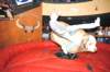 d2010_100916k_0982_small.jpg