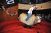 d2010_100916k_0991_small.jpg