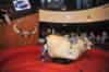 d2010_100916k_0999_small.jpg