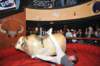 d2010_100916k_1026_small.jpg