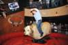 d2010_100916k_1030_small.jpg
