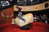 d2010_100916k_1140_small.jpg
