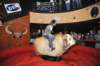d2010_100916k_1157_small.jpg