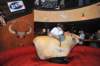 d2010_100916k_1170_small.jpg