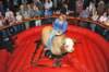 d2010_100916k_1340_small.jpg