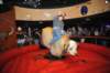 d2010_100916k_1384_small.jpg