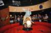 d2010_100916k_1395_small.jpg
