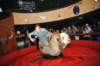 d2010_100916k_1399_small.jpg