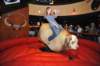 d2010_100916k_1447_small.jpg
