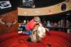 d2010_100916k_1545_small.jpg