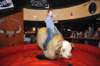 d2010_100916k_1560_small.jpg