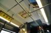 d2010_100917k_0396_small.jpg