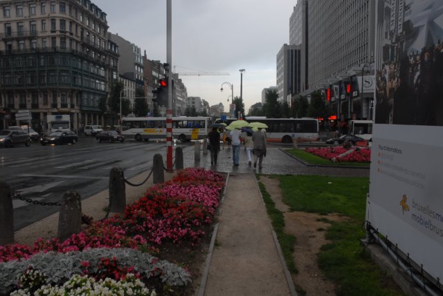 dsc_6949.jpg