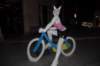 dsc_8328_small.jpg