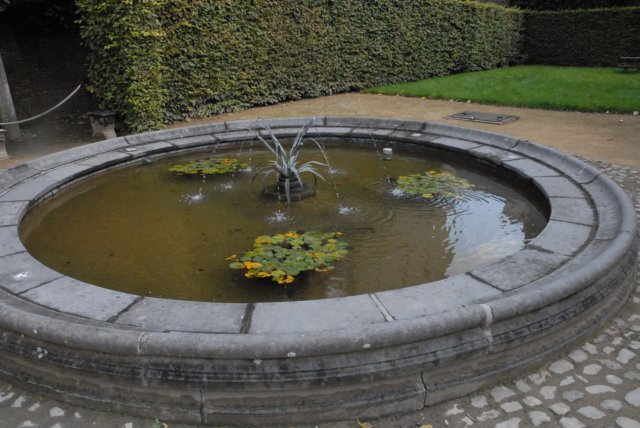 dsc_9385.jpg