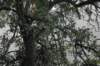 dsc_9386_small.jpg