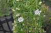 dsc_9393_small.jpg