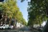 d110820k_0136_small.jpg