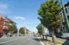 d110820k_0138_small.jpg
