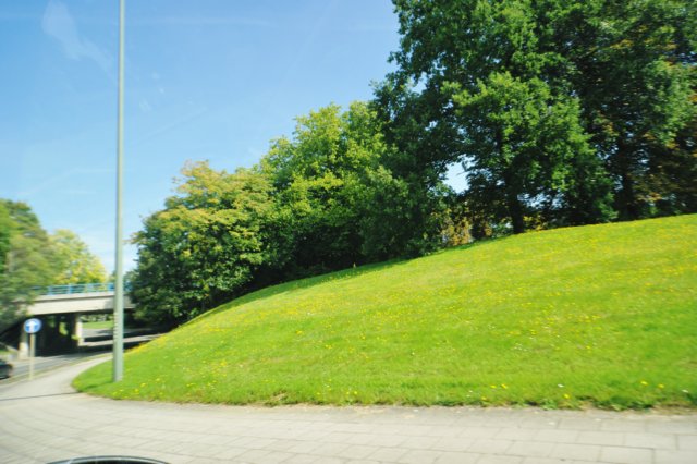 d110820k_0166.jpg