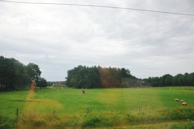 d110821k_0049.jpg