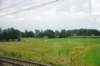 d110821k_0056_small.jpg