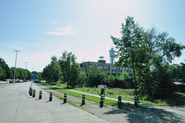 d110821k_0426.jpg