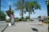 d110821k_0438_small.jpg
