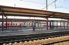 d110821k_0461_small.jpg