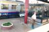 d110821k_0467_small.jpg