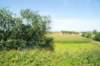 d110821k_0469_small.jpg