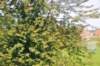 d110821k_0472_small.jpg