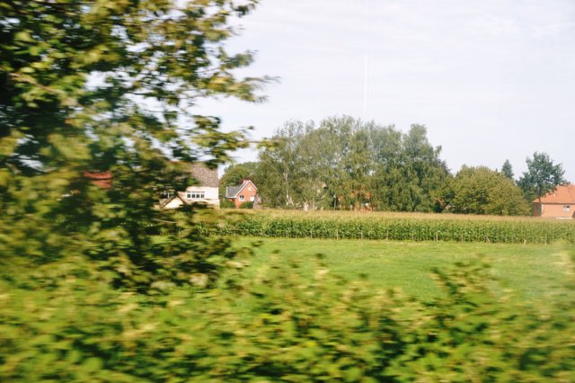 d110821k_0473.jpg