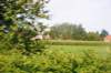 d110821k_0473_small.jpg