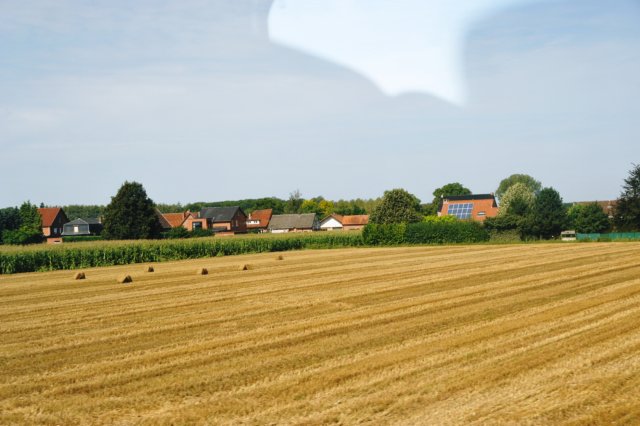 d110821k_0475.jpg