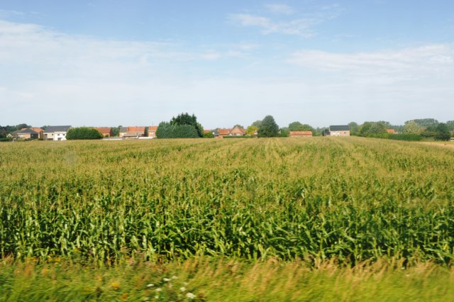 d110821k_0477.jpg
