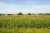 d110821k_0477_small.jpg