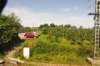 d110821k_0485_small.jpg